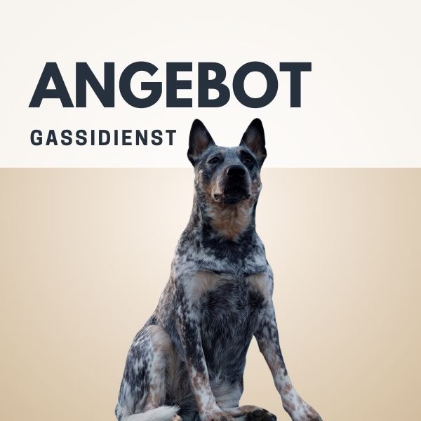 Angebot