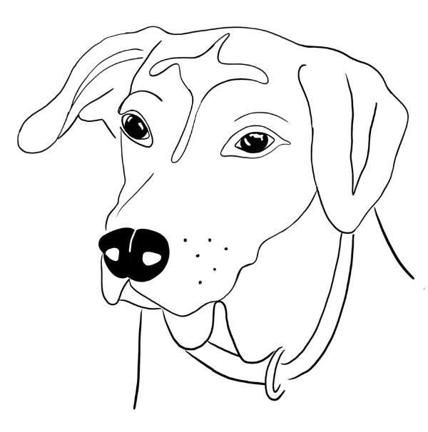 Logohund